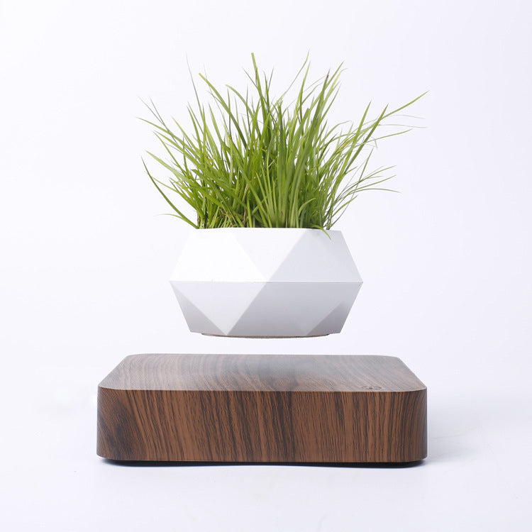 Magnetic Levitation Plant Pot